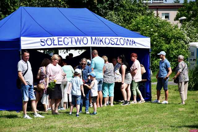 [FOTO] Moc atrakcji na VIII Świętojańskim Festynie Parafialnym w Jaroszowie