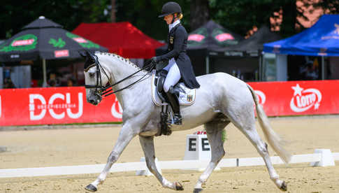 LOTTO Strzegom Horse Trials 2025 – kluczowe wydarzenie WKKW i festiwal atrakcji dla całych rodzin w jednym