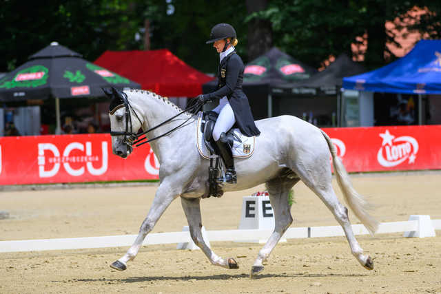 LOTTO Strzegom Horse Trials 2025 – kluczowe wydarzenie WKKW i festiwal atrakcji dla całych rodzin w jednym