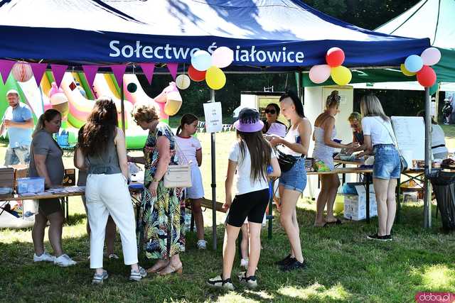[FOTO] Zbierają środki na leczenie Amelki. Trwa Piknik Rodzinny w Śmiałowicach
