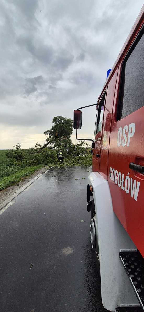 Bilans straży pożarnej po burzowej dobie na Dolnym Śląsku – ponad 500 interwencji!