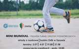 2.07 i inne terminy, Żarów: Mini Mundial - Piłkarski Turniej Drużyn Podwórkowych
