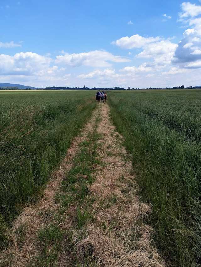 [FOTO] Przemaszerowali 58 kilometrów, aby wesprzeć leczenie i rehabilitację Kuby