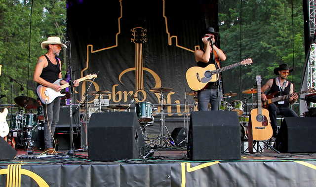 [FOTO] Wzgórze Wieżyca wypełniło się bluesem. Za nami DobroBlues Festival