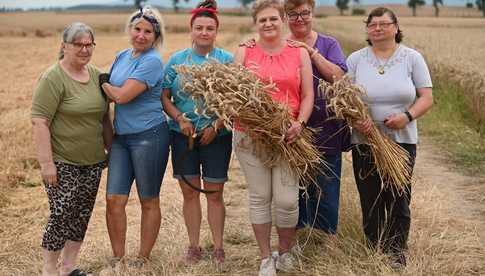 Znamy datę, program i lokalizację Dożynek Gminy Świdnica! Trwają przygotowania [FOTO]