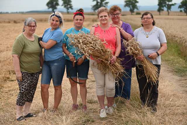 Znamy datę, program i lokalizację Dożynek Gminy Świdnica! Trwają przygotowania [FOTO]