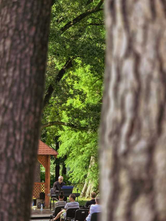 [FOTO] Pierwszy koncert z cyklu Muzyczny Park w Żarowie
