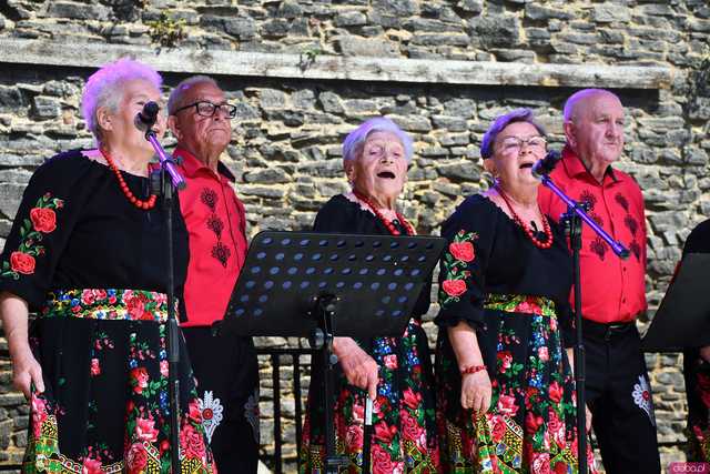 [WIDEO/FOTO] W rytmie ludowych przyśpiewek. Przegląd Zespołów Folklorystycznych na strzegomskich plantach