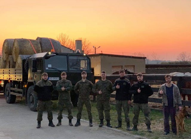 Terytorialsi włączyli się w pomoc zwierzętom