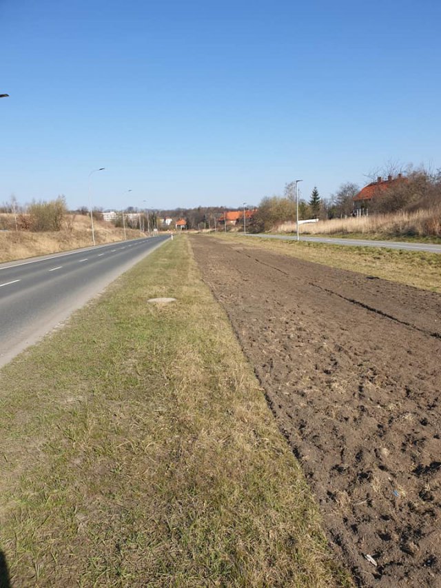 łąki kwietne