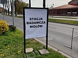 punkty testowe na obecność koronawirusa drive-thru