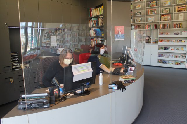 Biblioteka w sieci