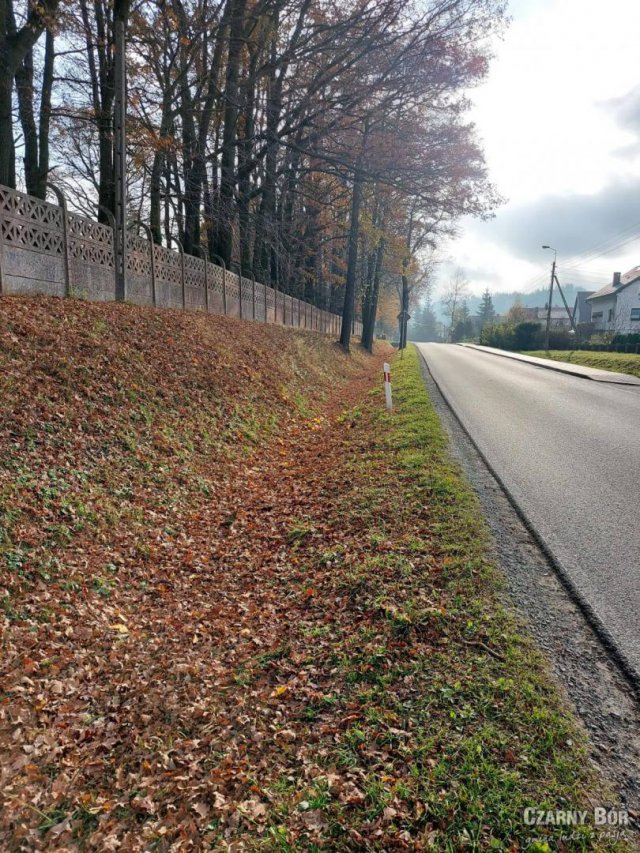 prace porządkowe