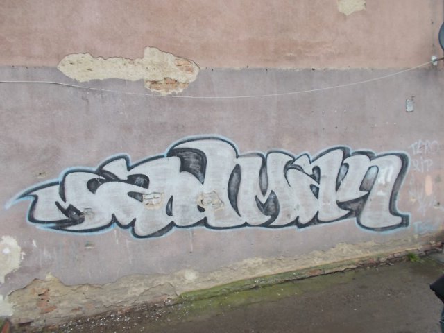 elewacje