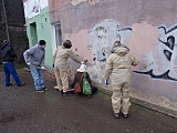 elewacje