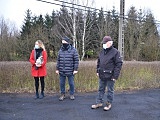grafika