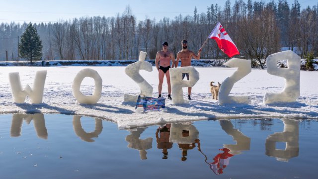 grafika