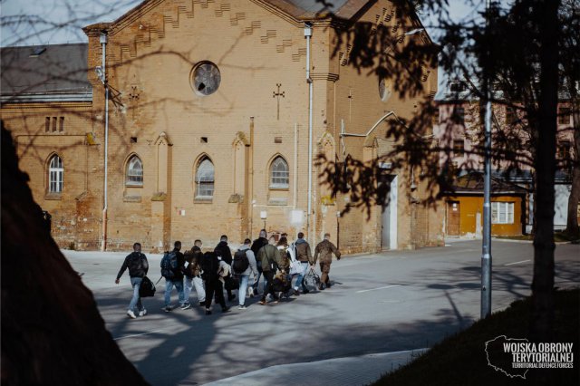 grafika