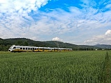 grafika