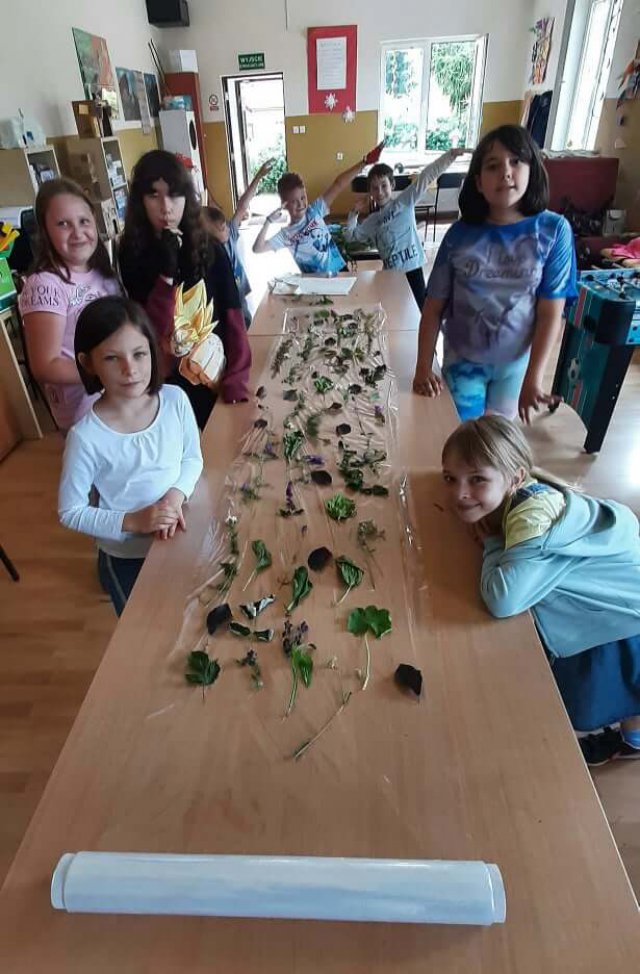 Wakacje z Wolnego Wybiegu w Gminie Czarny Bór