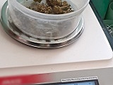 grafika