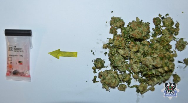 grafika