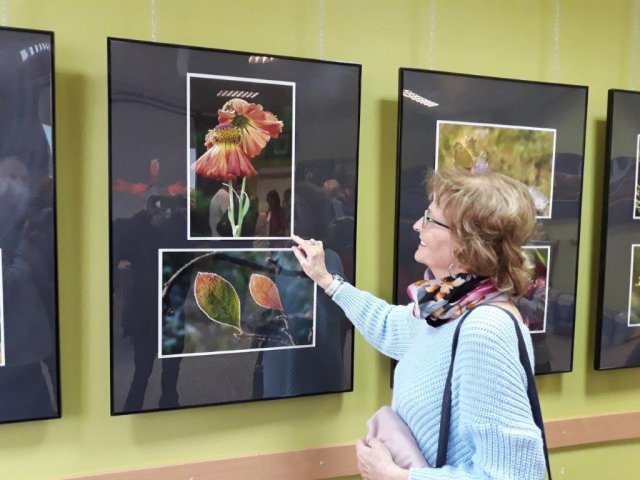 grafika