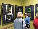 grafika