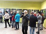grafika