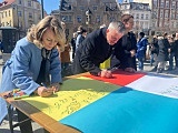 grafika