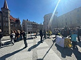 grafika