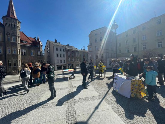 grafika