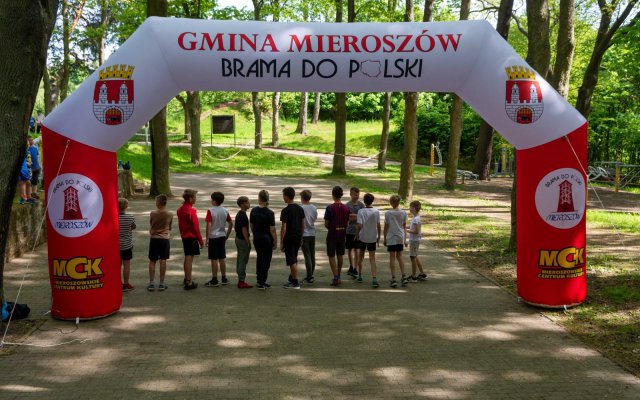 grafika