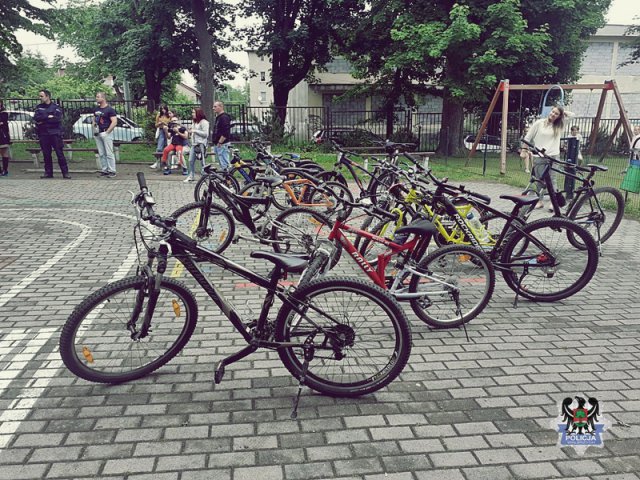 grafika