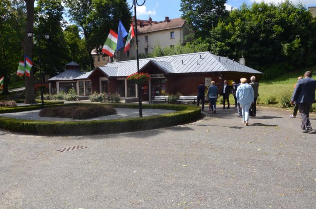 grafika