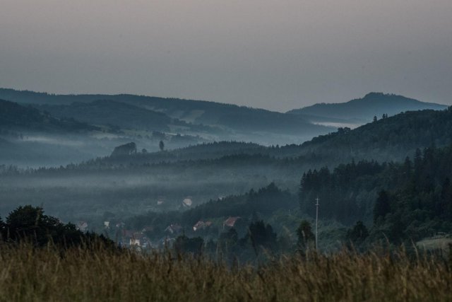 grafika