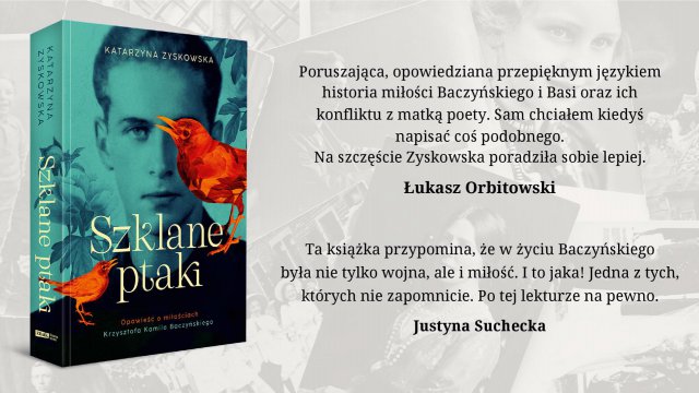 grafika