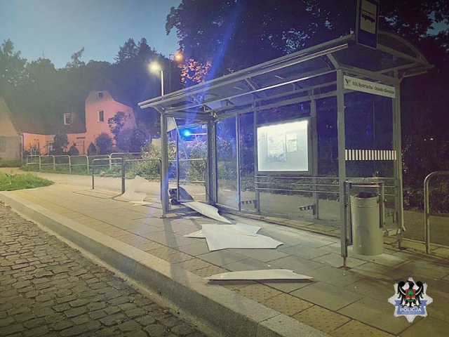 grafika
