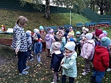 Przedszkolaki świętowały Dzień Pieczonego Ziemniaka [Foto]