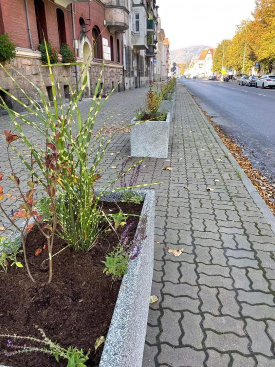 Nowe donice z roślinami na Alei Wyzwolenia [Foto]