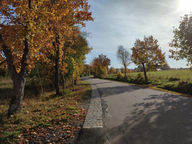 Utwardzono pobocza wzdłuż dróg powiatowych w gminie Mieroszów [Foto]