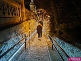 Klimatyczny spacer u podnóża zamkowych murów: Ogrody Światła w Książu [Foto, Wideo, Cennik, Godziny otwarcia]