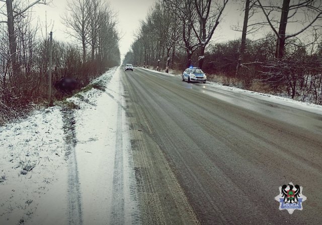 Zderzenie busa z motorowerem i dachowanie w Borównie [Foto]