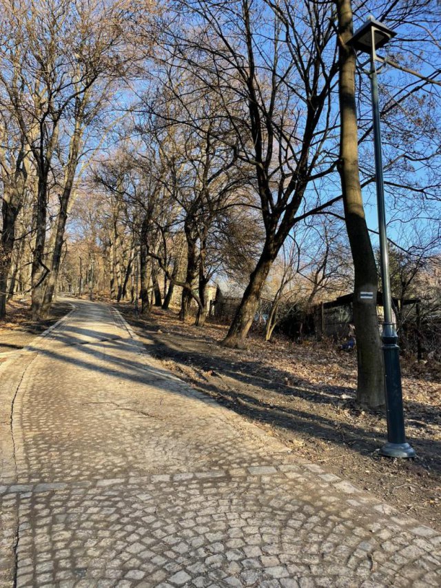 Zakończył się kolejny etap rewitalizacji parku Sobieskiego [Foto]