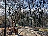 Zakończył się kolejny etap rewitalizacji parku Sobieskiego [Foto]