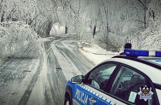 36-latek oszukał przeznaczenie podczas wypadku w trudnych warunkach drogowych. Uważajmy na drogach! Gałęzie łamią się jak zapałki!