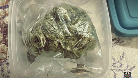 Siedem osób zatrzymanych z marihuaną w ciągu dwóch dni [Foto]
