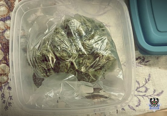 Siedem osób zatrzymanych z marihuaną w ciągu dwóch dni [Foto]