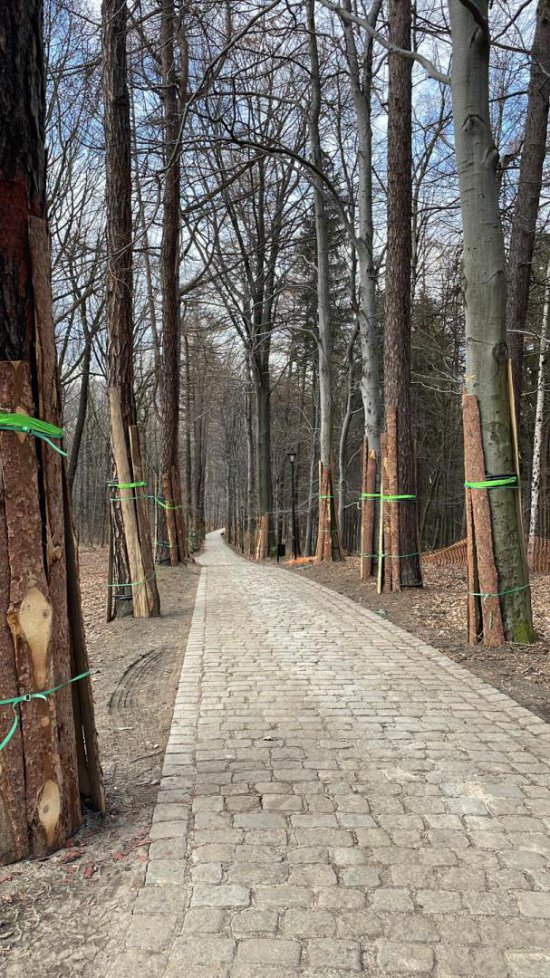 Ruszyła budowa wieży widokowej w Parku Sobieskiego w Wałbrzychu [Foto]