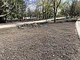 Trwa modernizacja parków na Piaskowej Górze [Foto]